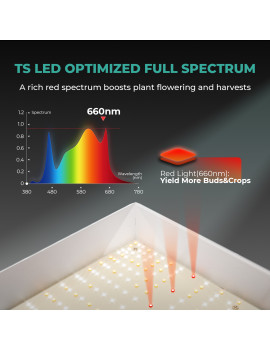 Kompletny zestaw Mars Hydro Grow set TSW2000